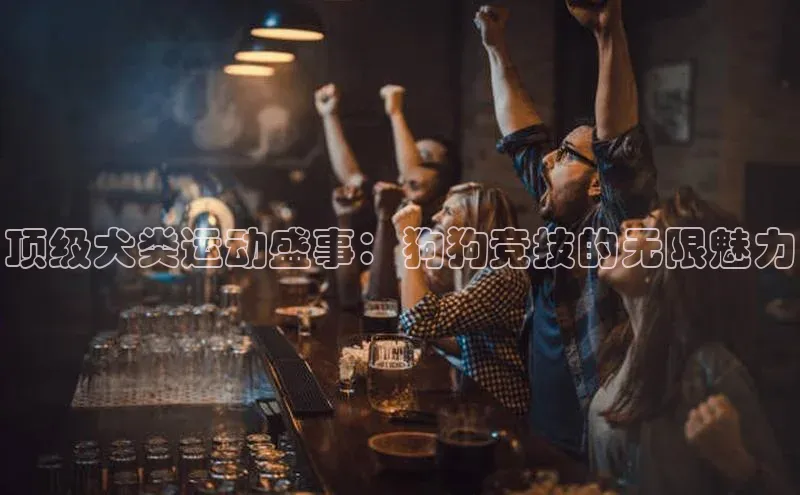 顶级犬类运动盛事：狗狗竞技的无限魅力