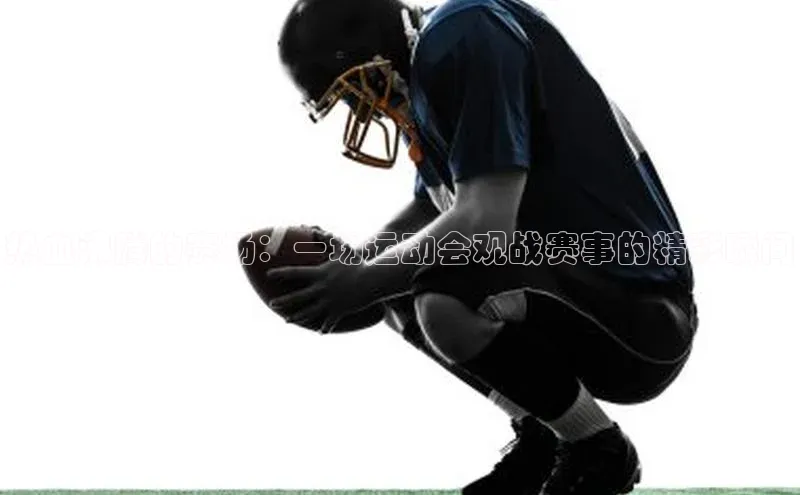热血沸腾的赛场：一场运动会观战赛事的精彩瞬间