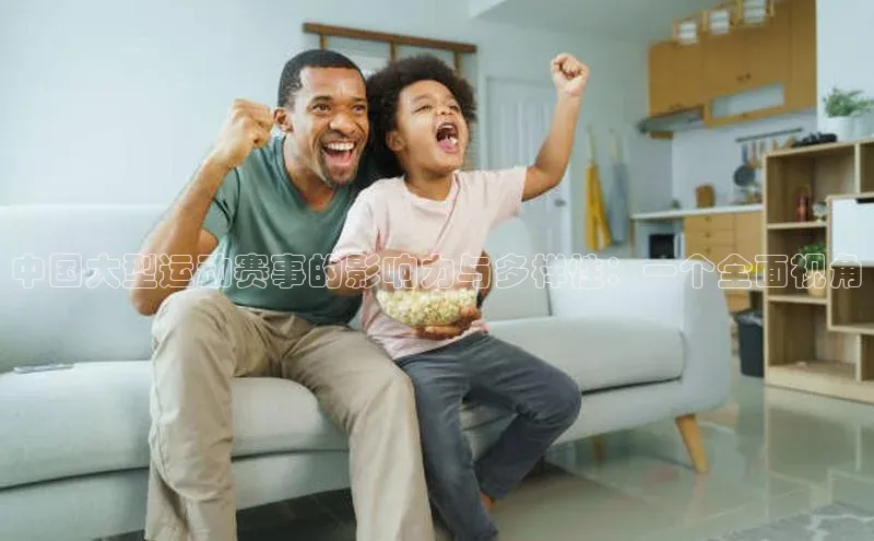中国大型运动赛事的影响力与多样性：一个全面视角
