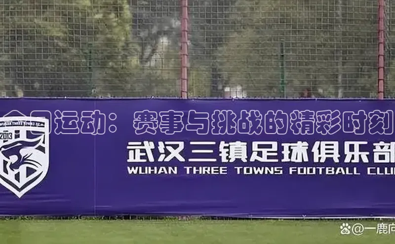 今日运动：赛事与挑战的精彩时刻
