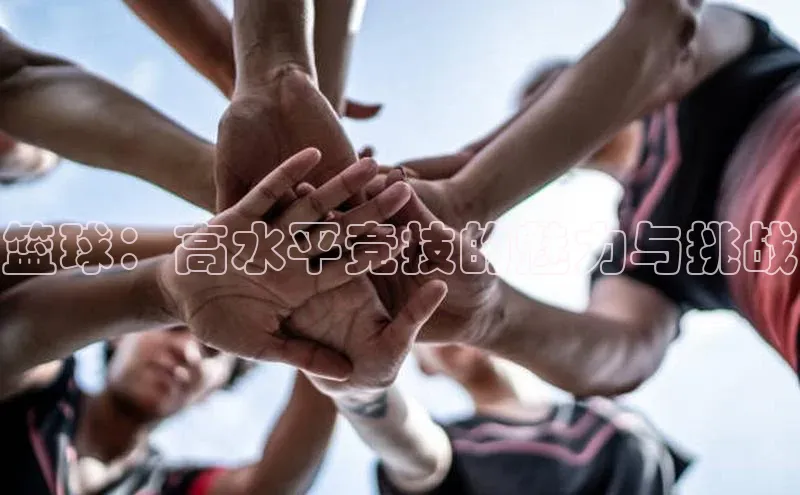 篮球：高水平竞技的魅力与挑战