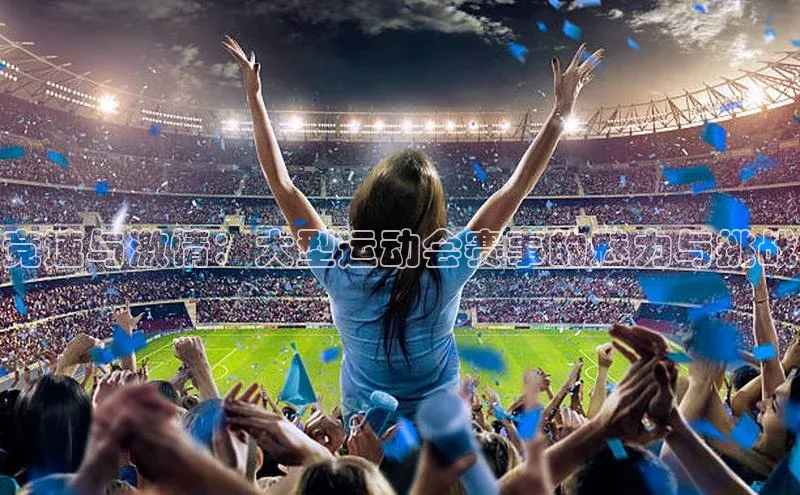 竞速与激情：大型运动会赛事的魅力与挑战