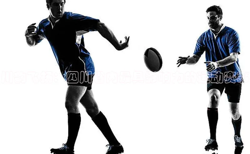 川韵飞扬：四川省内最具影响力的运动赛事