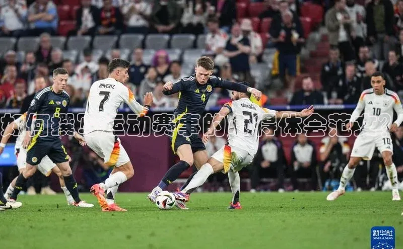 如何撰写运动赛事的心得体会范文？