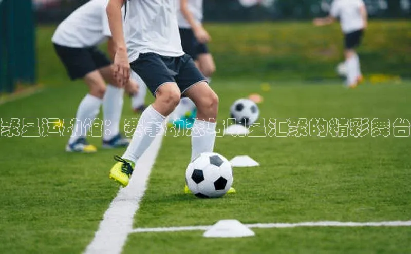 聚星运动馆：赛事动态与明星汇聚的精彩舞台