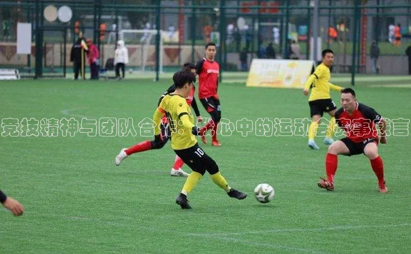 竞技精神与团队合作：我心中的运动会赛事感言