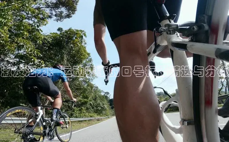 激发活力：运动赛事的口号标语精选与分析