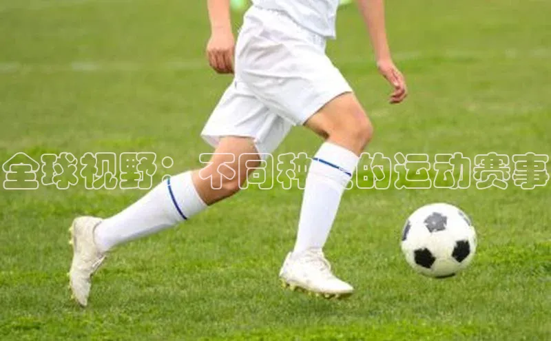 全球视野：不同种类的运动赛事